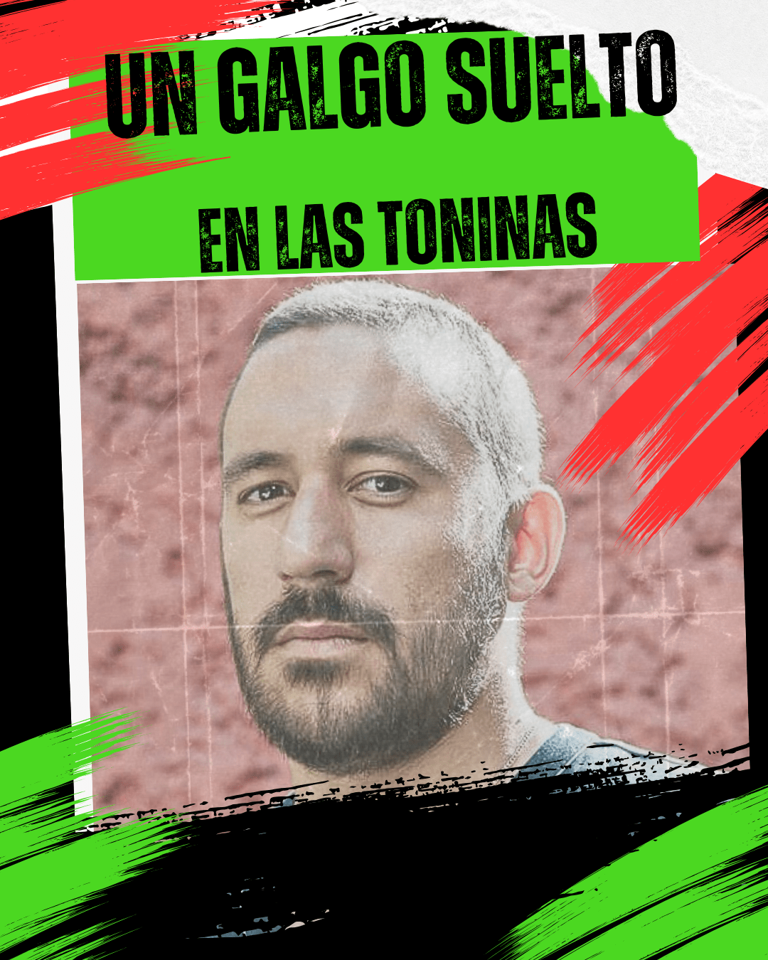 Un galgo suelto en las Toninas