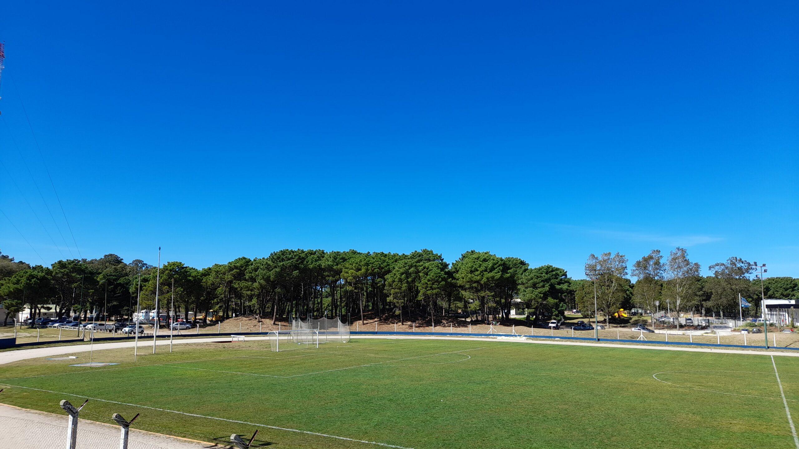 Futbol liga madariaguense